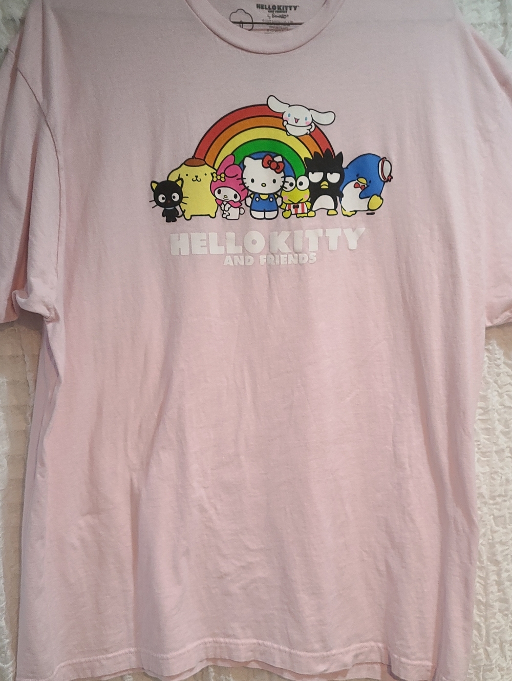 Hello Kitty Sanrio 2XL Pink T-shirt with Rainbow Friends Graphic PTP27 Adult